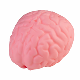 Easy Squeezy Jumbo Brainy