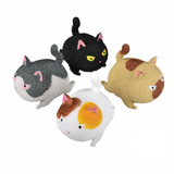 Angry Squish Cat