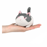Angry Squish Cat