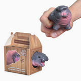 Squishmy Hippo
